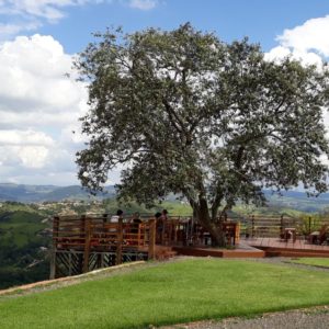 Amparo e Monte Alegre do Sul