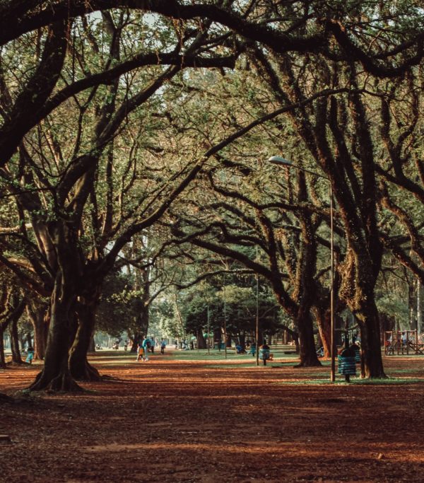 PARQUE DO IBIRAPUERA
