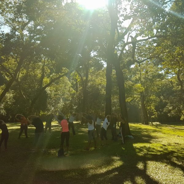 Cabreúva - Image 3