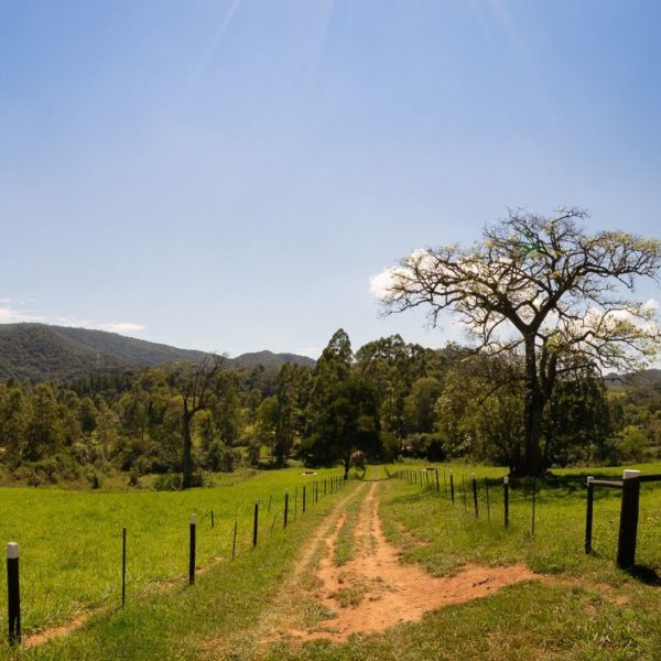 Cabreúva - Image 10