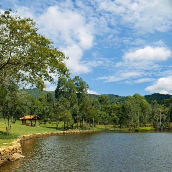 Cabreúva - Image 13